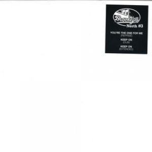 BROOKLYN NORTH VOLUME 3