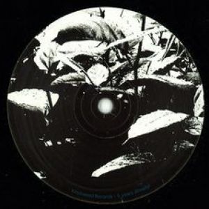OPPOSITE ATTRACTS EP