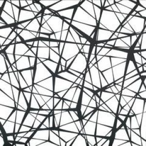 ORGANIC FREQUENCIES EP