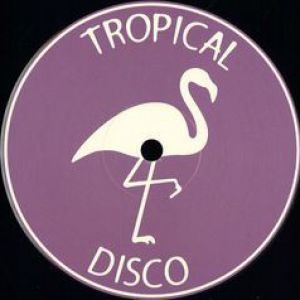 TROPICAL DISCO EDITS VOL. 2