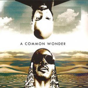 A COMMON WONDER