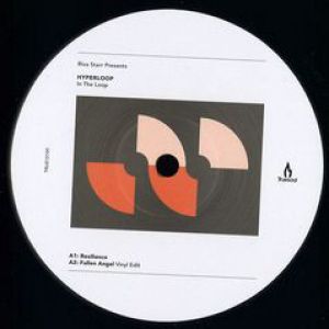 IN THE LOOP (TERRENCE PARKER/TIGER STRIPES RMXS)