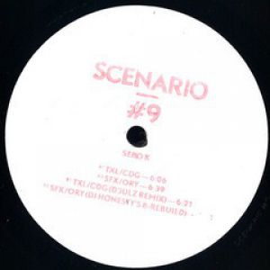 SCENARIO #9 (D'JULZ/DJ HONESTY RMXS)