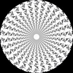 FOREAL EP (DJEBALI/SEB ZITO RMXS)