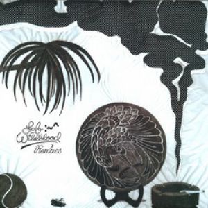 THE ONE WITH THE REMIXES