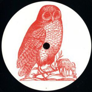 OWL 5