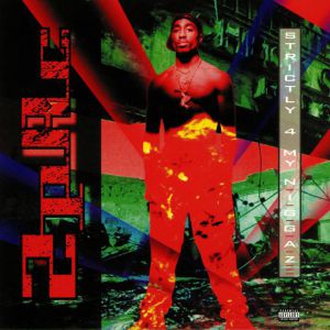 STRICTLY 4 MY NIGGAZ - 25TH ANNIVERSARY ED.