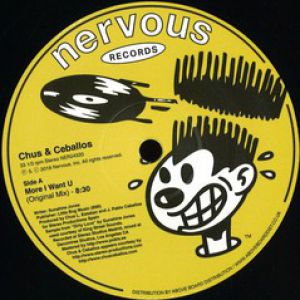 MORE I WANT YOU (DJ VIBE/DJ PIERRE RMXS)