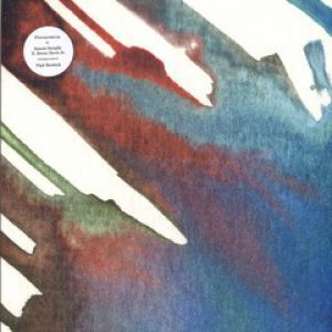 FLAVOURISM EP (INCL.PEPE BRADOCK RMX)