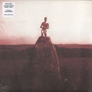 LOVE WHAT SURVIVES RMXS PART 1 (NINA KRAVIZ)