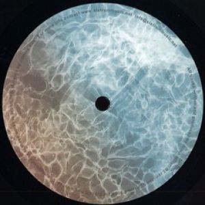 ALL THE LITTLE THINGS