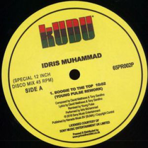 BOOGIE TO THE TOP (YOUNG PULSE RMX)