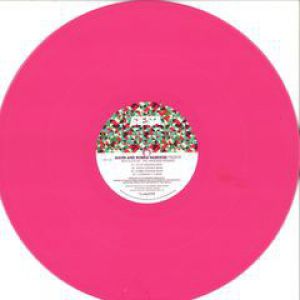 THE HARDKISS REMIXES