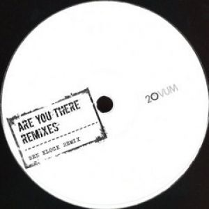 ARE YOU THERE (BEN KLOCK/ROD RMXS)