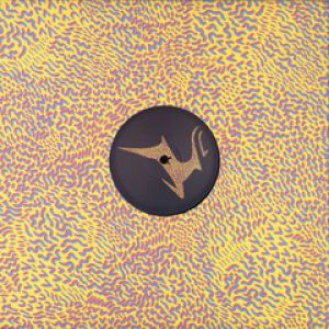 CRASH THE BOX (TEE MANGO/LORD LEONARD MIXES)