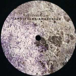 AMBIPOLAR DIFFUSION / AMAZONIAN