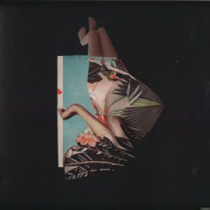 POLLINATOR EP (CLOCK POETS RMX)