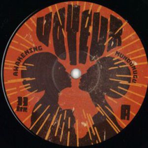 AWAKENINGS (CASINO TIMES RMX)