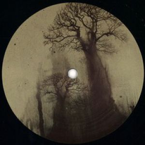 TREES - BUTCH REMIXES