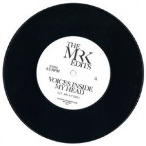 VOICES/WHEN THE WORLD IS RUNNING DOWN