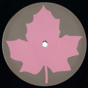 BOMBS OVER LEAMINGTON SPA