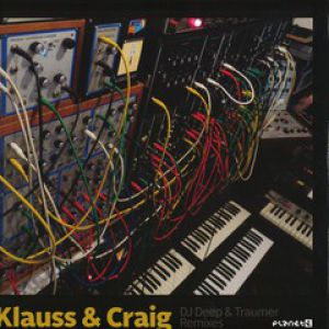 DJ DEEP & TRAUMER REMIXES