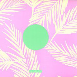 THE DISTANCE (RON BASEJAM RMX)