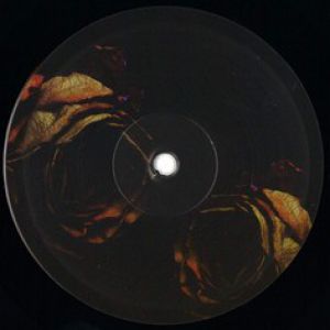 SPACE BLACK ROSE EP (SAKRO RMX)