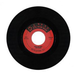 FOLLOW ME / THE WILDSTYLE