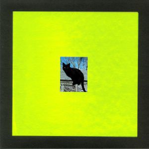 PANTHERS ON THE ROOF