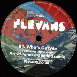 IT JUST GOES/WHO'S GOT ME RMXS (RAY MANG/ART OF TONES)