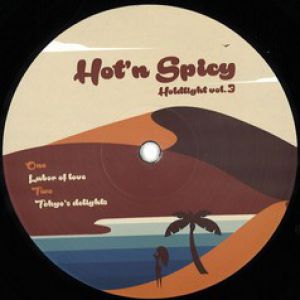 HOT N SPICY VOL.3