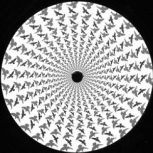 BLOSSOM EP (BURNSKI RMX)