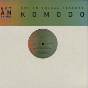 RUNNING INTO THE SUN