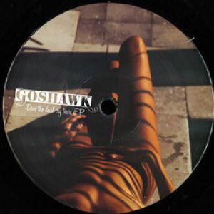 DOES THE DEVIL CRY TEARS EP