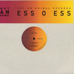 VOICE INSIDE INCL. CRAIG RICHARDS RMX