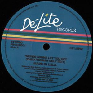 NEVER GONNA LET YOU GO (THEO PARRISH EDIT)