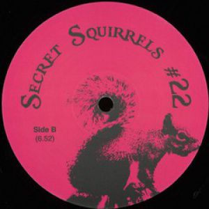 SECRET SQUIRRELS 22