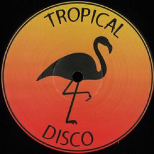 TROPICAL DISCO RECORDS VOLUME 13