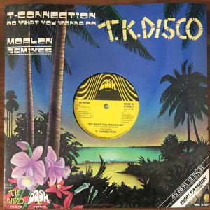 DO WHAT U WANNA DO (MOPLEN RMXS)