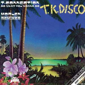 DO WHAT U WANNA DO (MOPLEN RMXS)