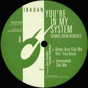 YOU'RE IN MY SYSTEM