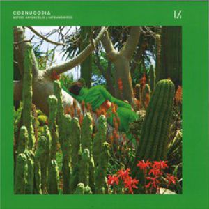 BEFORE ANYONE ELSE / BATS AND BIRDS