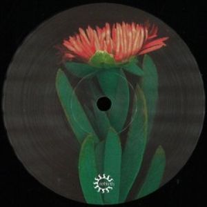 LIDO IRIDE EP (DON CARLOS/LTJ EXPERIENCE RMXS)