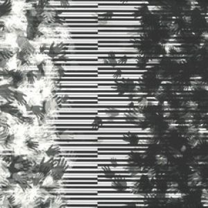 IN SPITE OF EVERYTHING