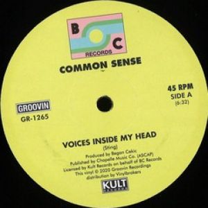 VOICES INSIDE MY HEAD