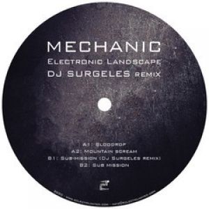 ELECTRONIC LANDSCAPE (DJ SURGELES RMX)