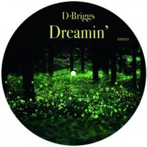 DREAMIN (MONCHAN/CEDAR SOUND WORKSHOP RMXS)