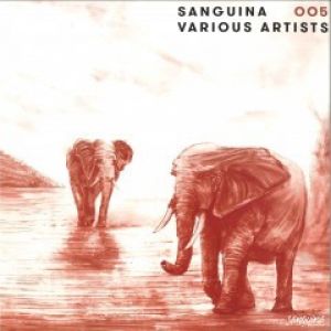 SANGUINA 005