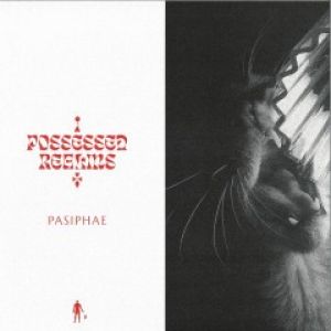POSSESSED REALMS